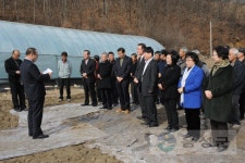 역사로 보는 사진 - 사진DB