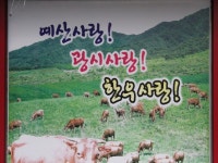 동산교낚시-광시한우 비손정육점 : 낚시사랑