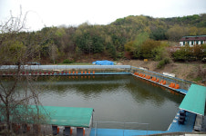 :::: 낚시사랑 - 낚시사랑,가족사랑,자연사랑 ::::