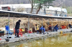 강호지락-고양 백두산낚시터 : 낚시사랑