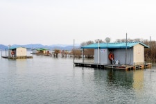 강호지락 > 예당 피쉬뱅크 : 낚시사랑