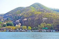 :::: 낚시사랑 - 낚시사랑,가족사랑,자연사랑 ::::