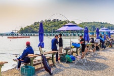 바다사랑닷컴