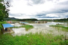 강호지락 > 만정 낚시터 : 낚시사랑
