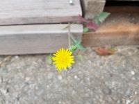 서해안낚시-남양호조황~ : 낚시사랑