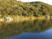 바닥찻기-웅천천 짬낚 마감합니다 : 낚시사랑