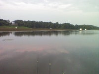 맨바닥꾼-땅콩찌의 힘?! : 낚시사랑