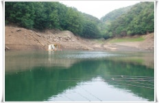 파랑장미-방랑... : 낚시사랑