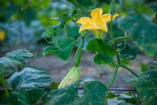 공산노을-우리는 모두 길들여 진다 : 낚시사랑