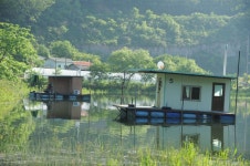 그~네-춘천 세월낚시터에서... : 낚시사랑