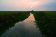 질꾼-삽교호 수로 : 낚시사랑