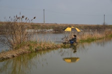 질꾼-이정도면 괜찮죠? ^^ : 낚시사랑