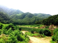 손맛꽝-여름휴가~ 물가로  갑니다 : 낚시사랑