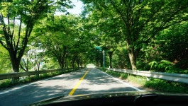 장구라 민물낚시 노지조행기 > 장구라가 간다. : 낚시사랑