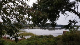 몸짱 아놀드-우리는 부부조사다! ( 가을은 꾼의 계절 ) : 낚시사랑