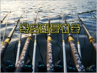인천DJ 민물낚시 노지조행기 > ◀인천DJ▶저좀 믿어주세요  흑흑..다들 잉어라해요 흑흑 : 낚시사랑