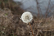 바다하늘산-충청권 소류지 탐사 ... 소설 (小雪) ... 2016.11.18 ~ 11.20 ... : 낚시사랑
