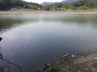 음성대호낚시-물빠진 계곡지, 매운탕꺼리 : 낚시사랑