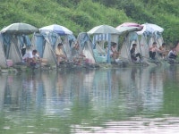 [광탄낚시터]야간조황에 날개를달자~! : 낚시사랑