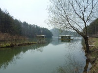 즐낚과 봄의조화!!! : 낚시사랑