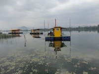 유료터정보 > 유료터점주조황 > 유월사일광명소식입니다...!!