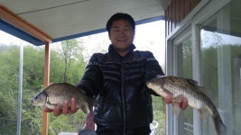 토종붕어 43대물 ... : 낚시사랑