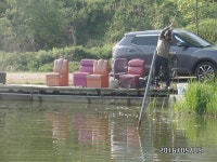 ~~~조황정보~~~ : 낚시사랑