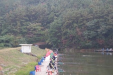 추곡낚시터에서 : 낚시사랑