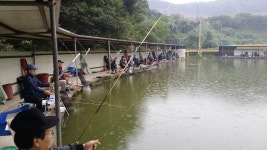 공주 큰목골낚시터 유료터정보 > 공주 큰목골낚시터 10월17일 소식 : 낚시사랑