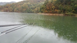 10월 25일 봉 낚시터 조황 정보 입니다^^ : 낚시사랑