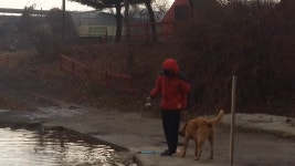 12월 세째 주 길상낚시터모습입니다~ : 낚시사랑