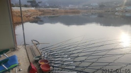 [조일낚시터]조황소식 : 낚시사랑