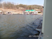 도곡낚시터 붕어 조황 정보  : 낚시사랑