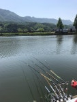 토종붕어 강촌낚시터입니다! : 낚시사랑