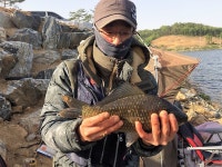 45cm,44cm,43cm 4짜만 24마리 토종대물터 양오지 주말 조황입니다. : 낚시사랑