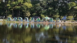 주중조황과 휴장안내 : 낚시사랑