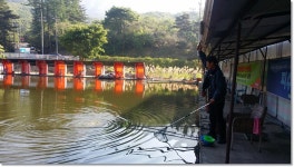 유료터정보 > 유료터점주조황 > 택암낚시터 5월의 마지막주말 조황정보