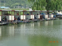 ***오빈낚시터*** 주말 조황정보 및 방류 소식 전합니다 : 낚시사랑