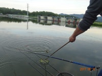 ***오빈낚시터*** 주말 조황정보 및 방류 소식 전합니다 : 낚시사랑