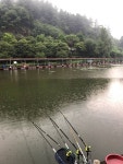 토종붕어 강촌낚시터입니다! : 낚시사랑