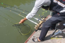 7월 27일 봉 낚시터 정보 입니다^^ : 낚시사랑