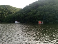 [노은지낚시터] 7월 마지막 주 (29~30일) 조황 정보 입니다  : 낚시사랑