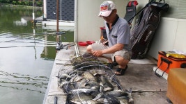 상지낚시터 주말조황사진과오늘아침조황까지 : 낚시사랑