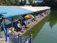 (삼하)도심속의 쉼터 ❤ : 낚시사랑