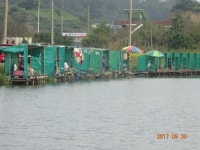 ***오빈낚시터*** 주말 조황정보 및 방류 소식 전합니다 : 낚시사랑