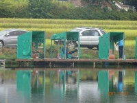 ***오빈낚시터*** 주말 조황정보 및 방류 소식 전합니다 : 낚시사랑