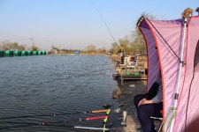 4/26(목) 푸른날씨 푸른조황! 물반 고기반?^^* : 낚시사랑