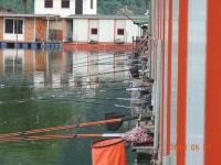 탄력 받았습니다. 그래서 폭탄방류 합니다. : 낚시사랑