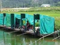 ***오빈낚시터*** 주말 조황정보및 방류 소식 전합니다*** : 낚시사랑