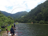 선고지 조황정보 : 낚시사랑